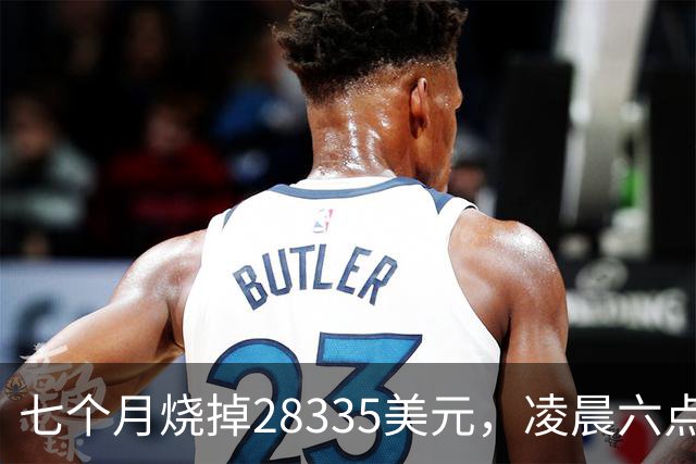 七个月烧掉28335美元，凌晨六点前的工具调用只有0.7%